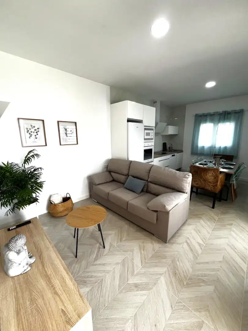 Living room of Houses for rent in Chiclana de la Frontera  with Air Conditioner, Private garden and Terrace