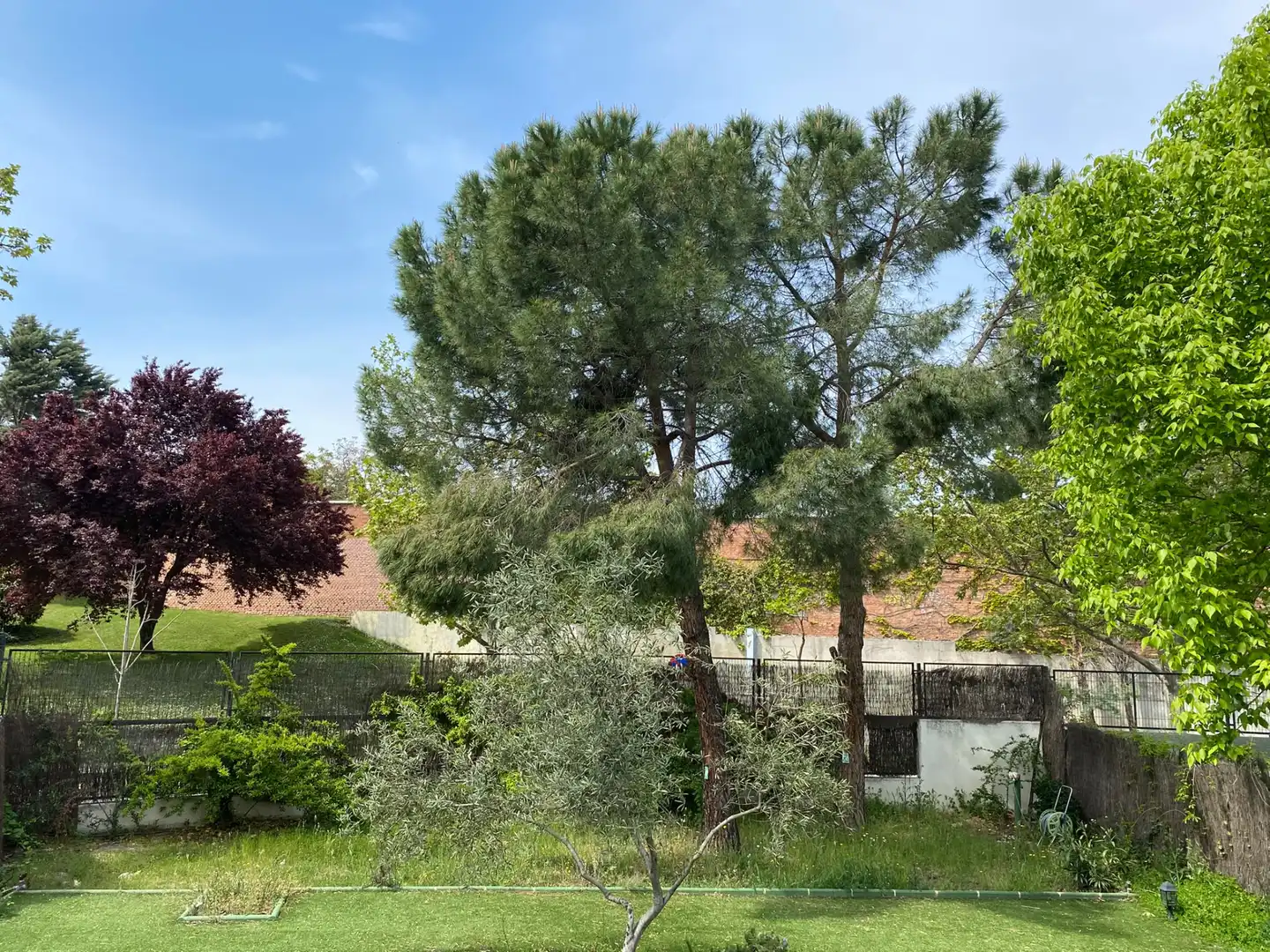 Casa a schiera con piscina in affitto a Moncloa - Aravaca, imagen 6