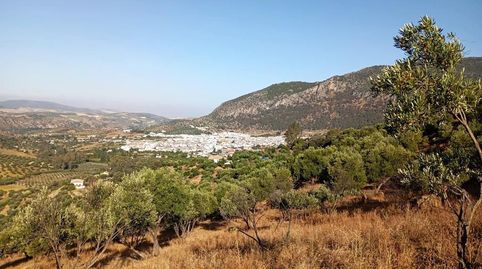 Finca Rúst. en venta en Dehesa Vieja., immagine 3