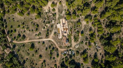 Photo 3 of Land for sale in Bacarés - Manresa  - Bonaire, Illes Balears