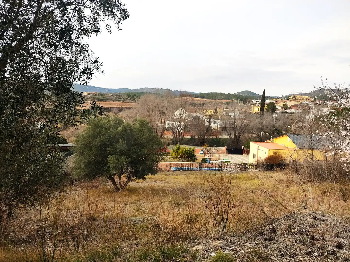 Terrenys i solars en venda a La Bisbal del Penedès, imagen 18