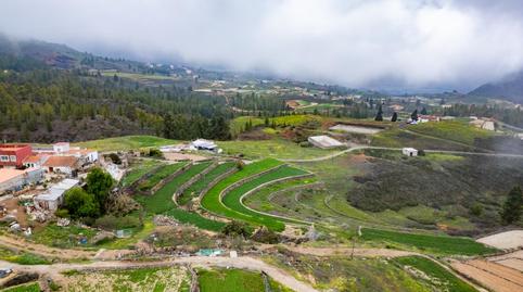 Foto 4 de Finca rústica en venda a Vilaflor de Chasna, Santa Cruz de Tenerife