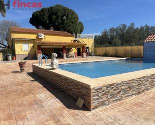 Piscina de Finca rústica de lloguer amb opció a compra en Marchena amb Aire condicionat, Terrassa i Piscina