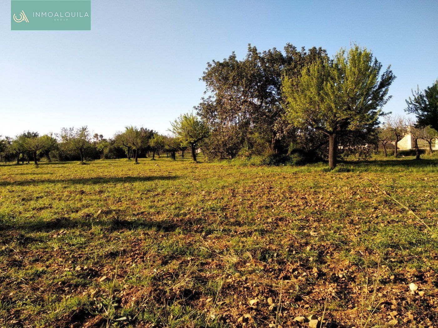 Finca rústica en venda a Lloseta
