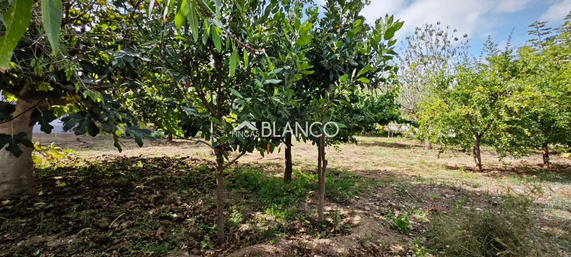 Terreno residencial en venta en Piera, imagen 4
