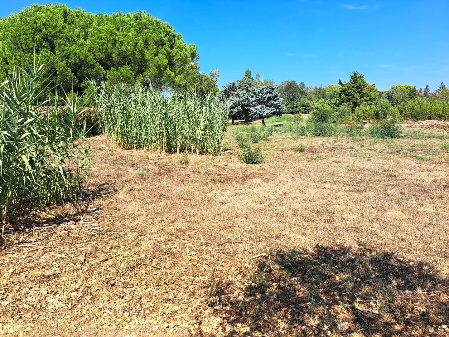 Residencial en venta en Navata, Girona
