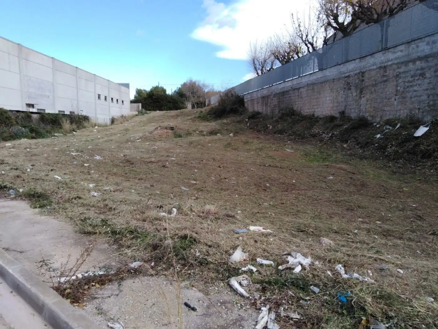 Terreno industrial en venta en Mas d'En Serra - Els Cards, imagen 5