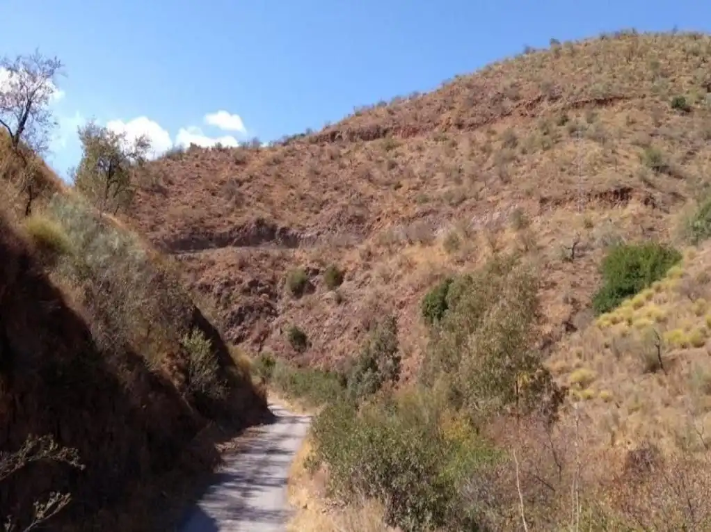 Terreni e lotti in vendita a PEÑON EL, imagen 4