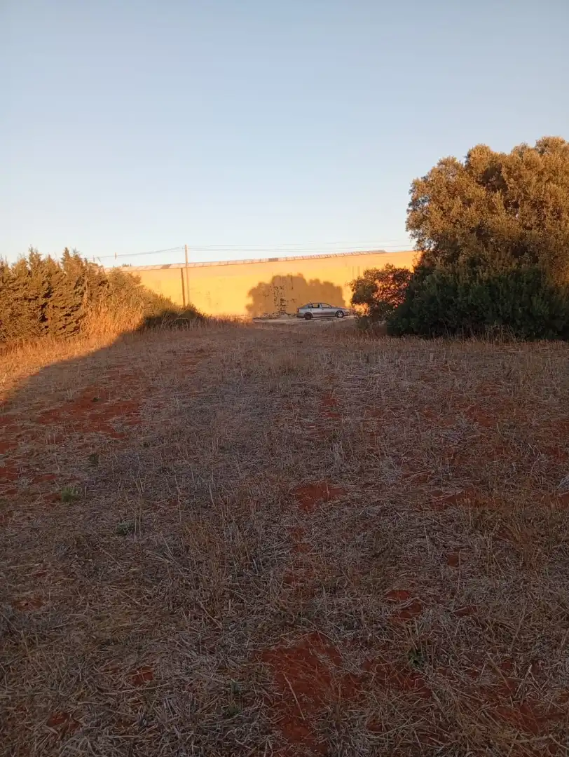 Terreno en venta en Conil de la Frontera
