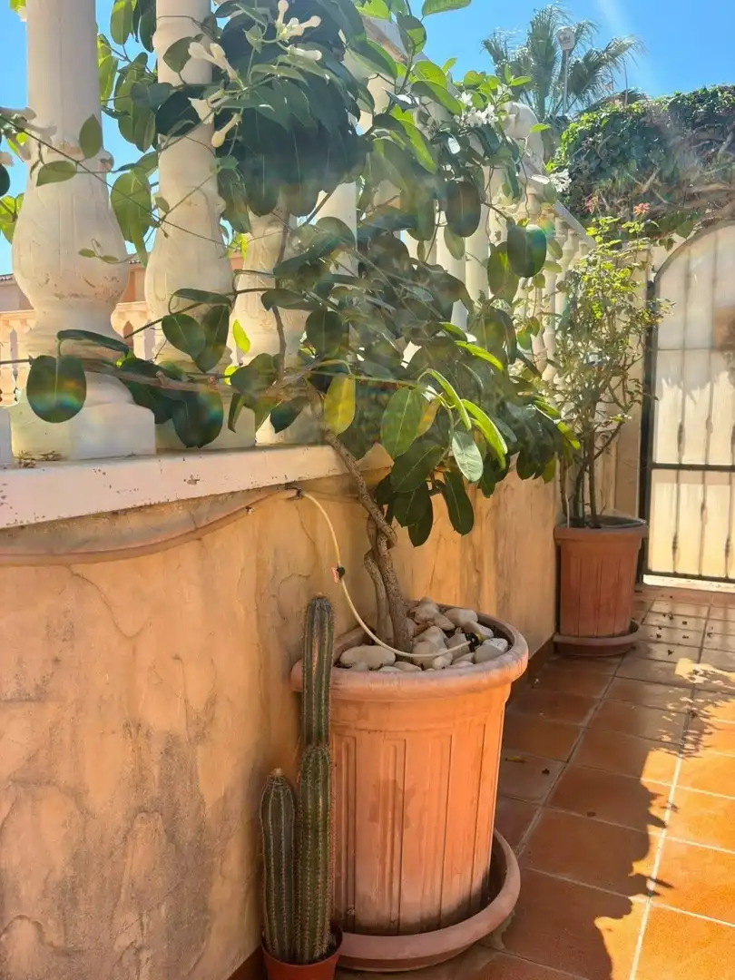 Haus mit Pool zum Verkauf in N/A, imagen 20