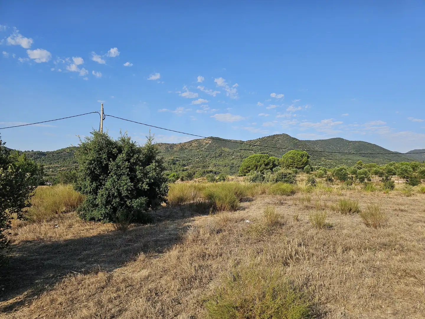 Terrain rustique à vendre à Alforja, imagen 32