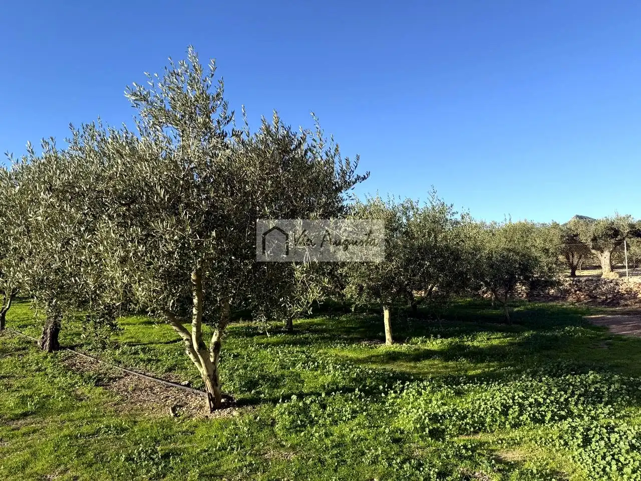 Terrain rustique à vendre à Molineres, imagen 15