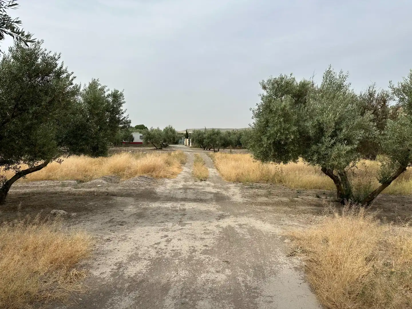 Wohnbaugrundstück zum Verkauf in Chimeneas, imagen 19