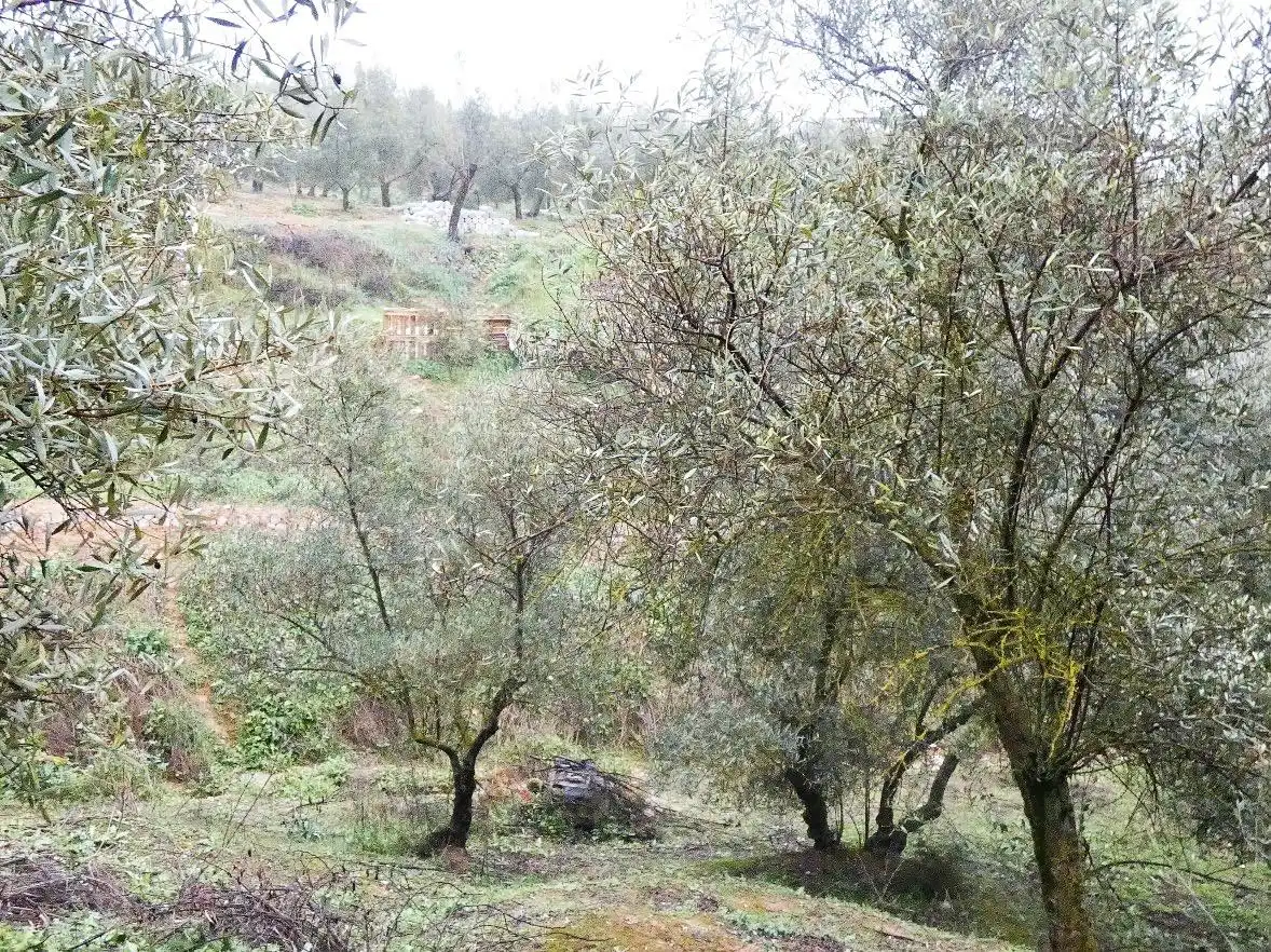 Terrain rustique à vendre à Peligros, imagen 5