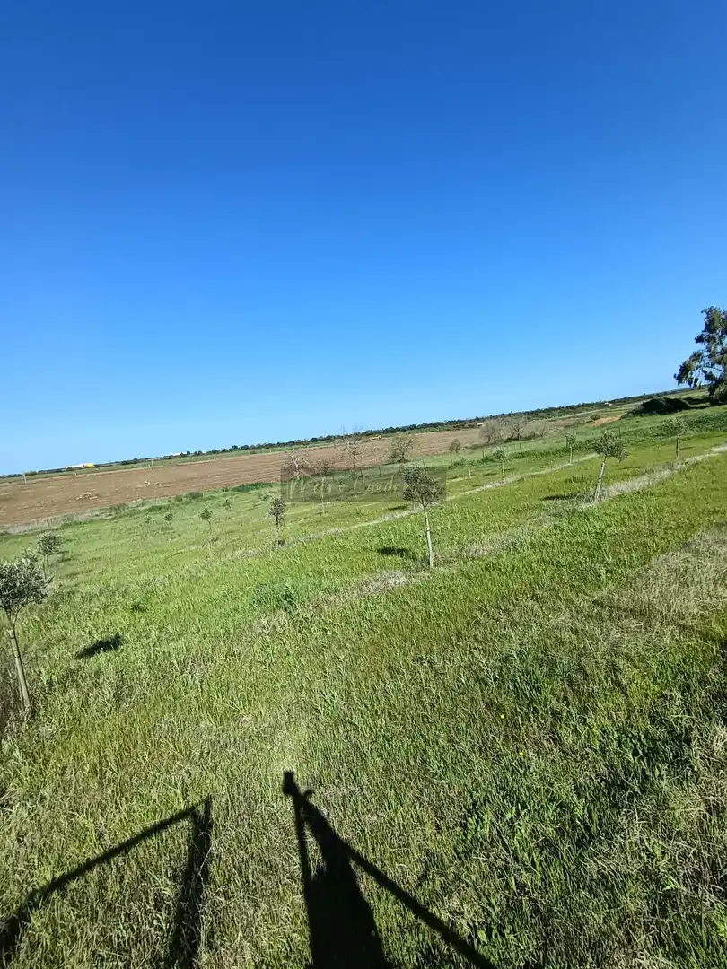 Terreni e lotti in vendita a Norte, imagen 9