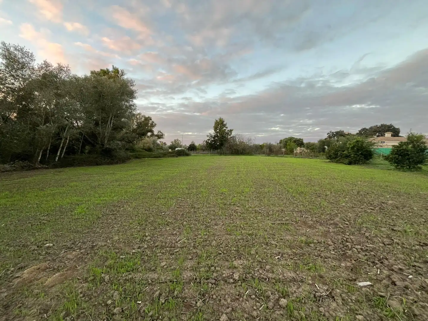 Terreno en venta en Jerez de la Frontera