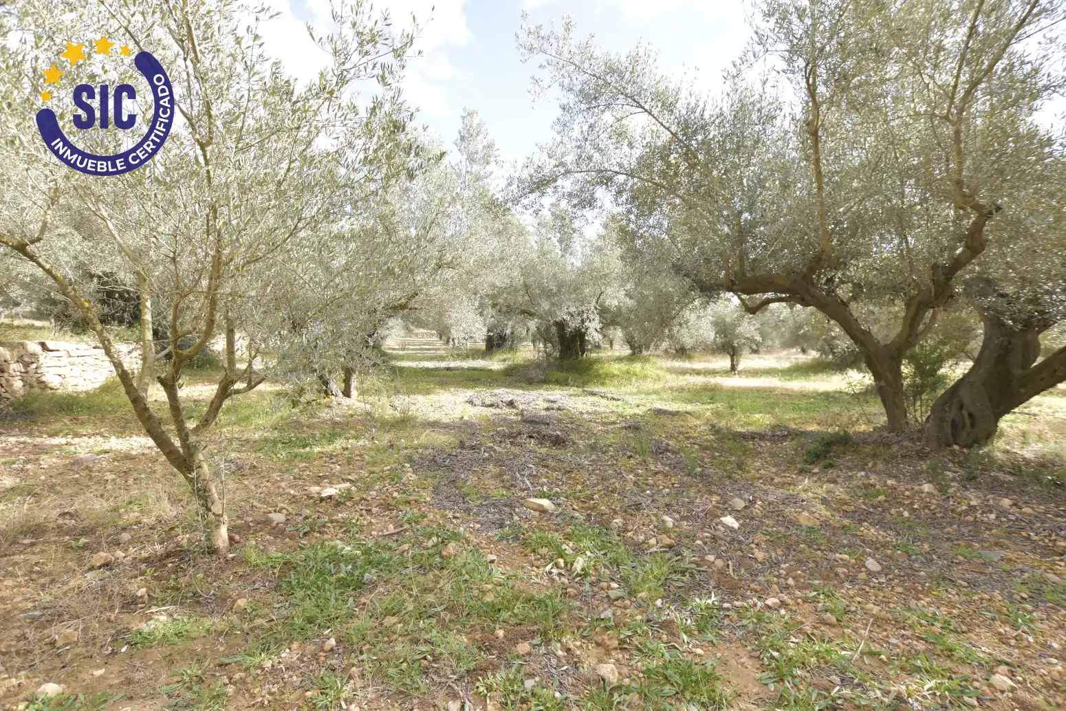 Land for sale in Jérica