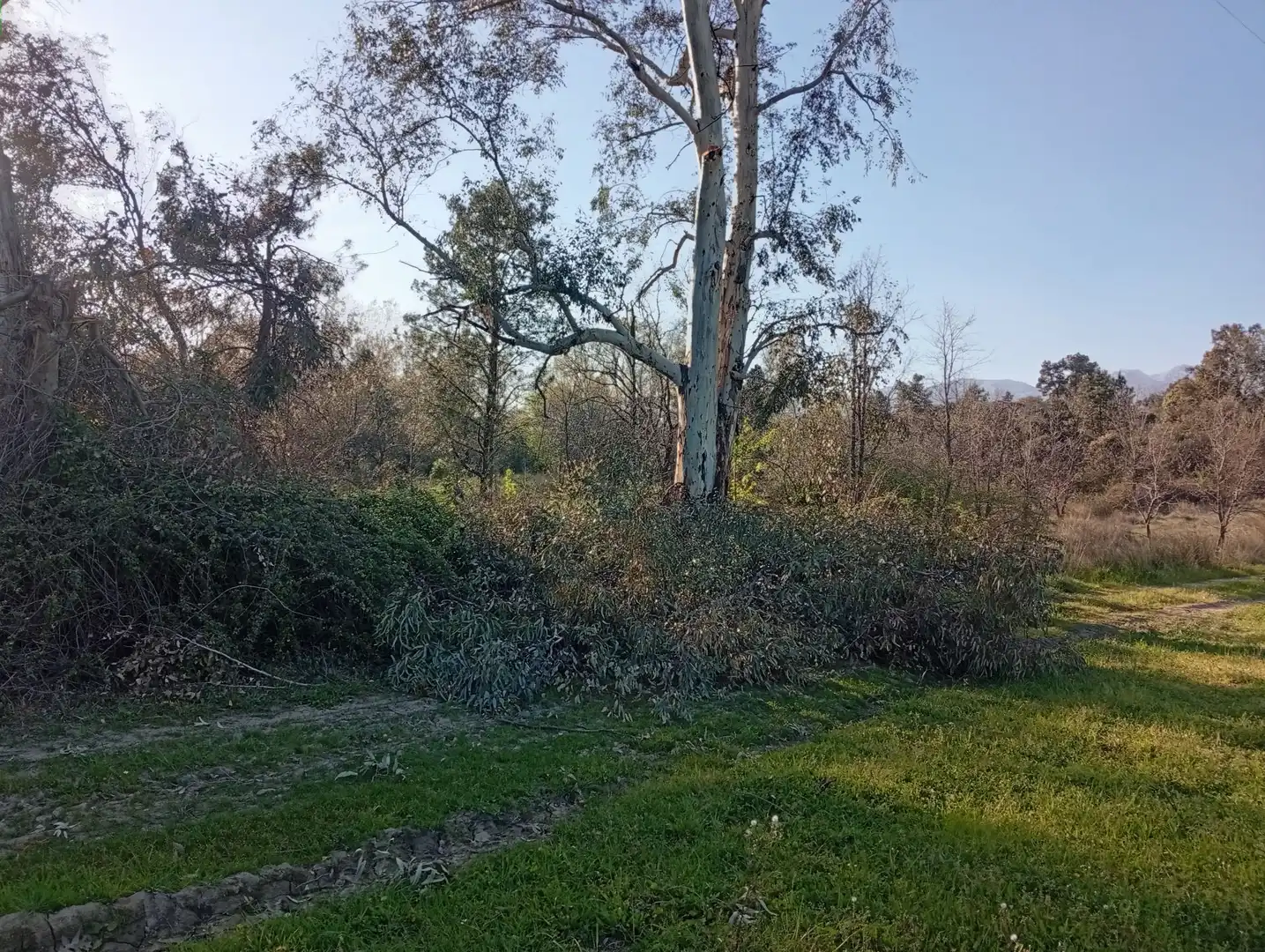 Terreni e lotti in vendita a Villanueva de la Vera, imagen 143