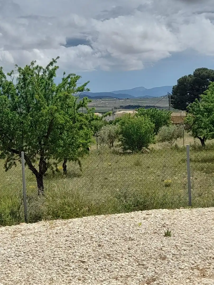Haus zum Verkauf in El Pinós / Pinoso, imagen 36