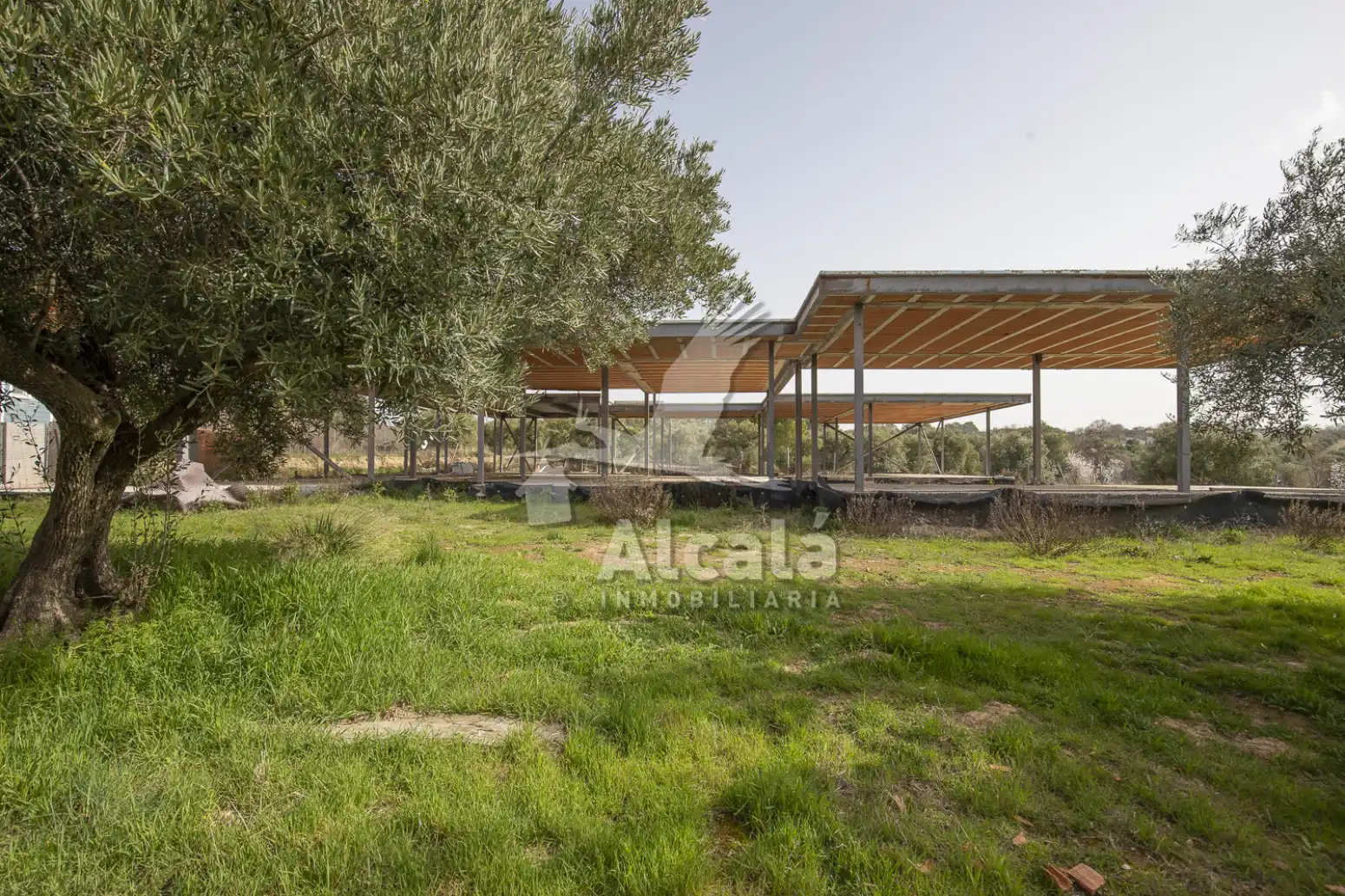 Terreny rústic en venda a Villalbilla pueblo, imagen 23