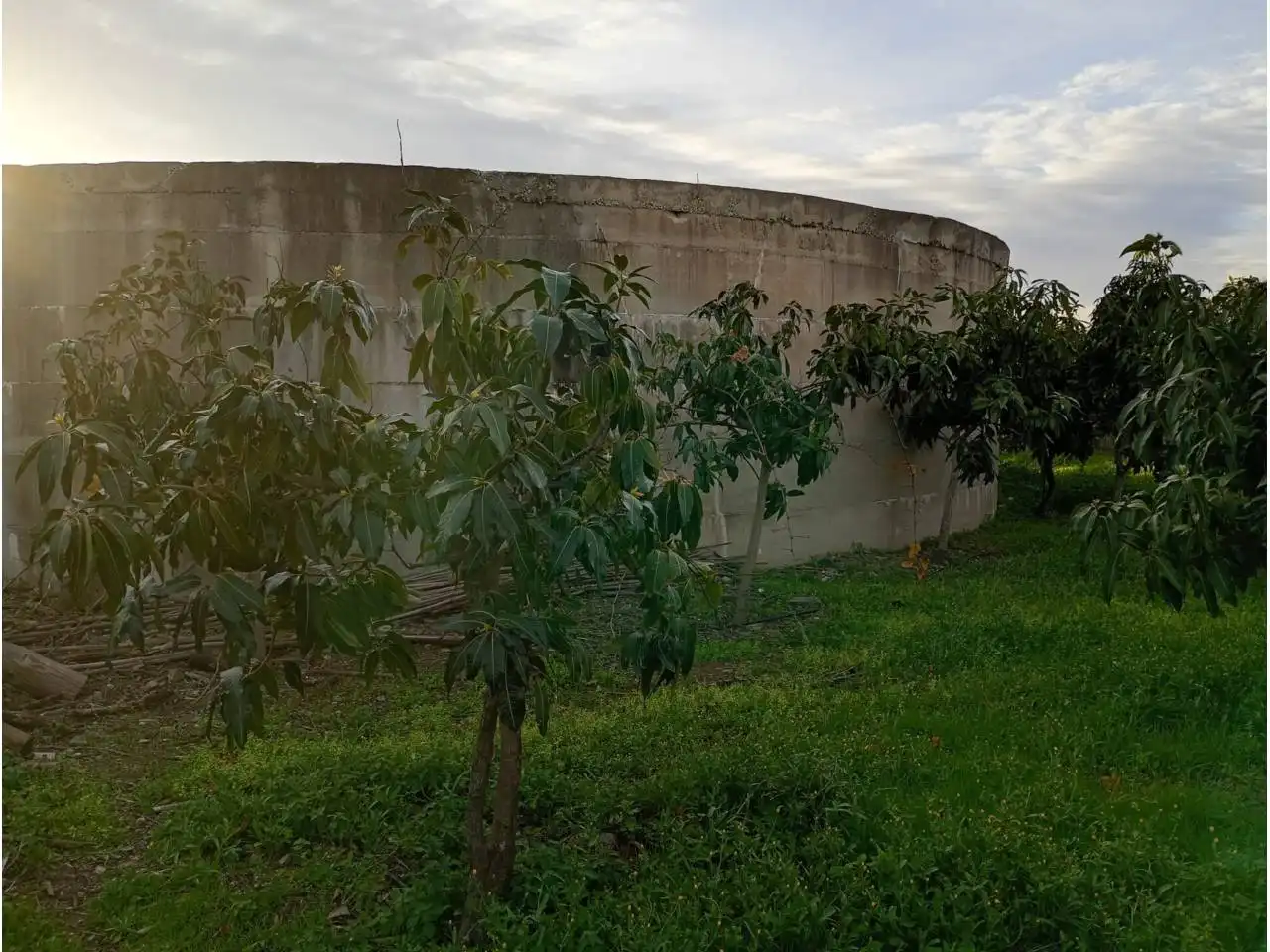Terreni e lotti in vendita a Calle paraje, imagen 19