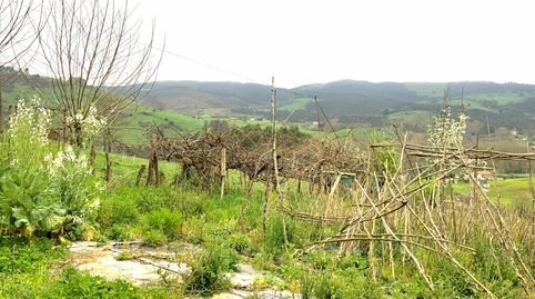 Foto 5 de Residencial en venta en Hazas de Cesto - Barrio Liegra, 2, Hazas de Cesto, Cantabria