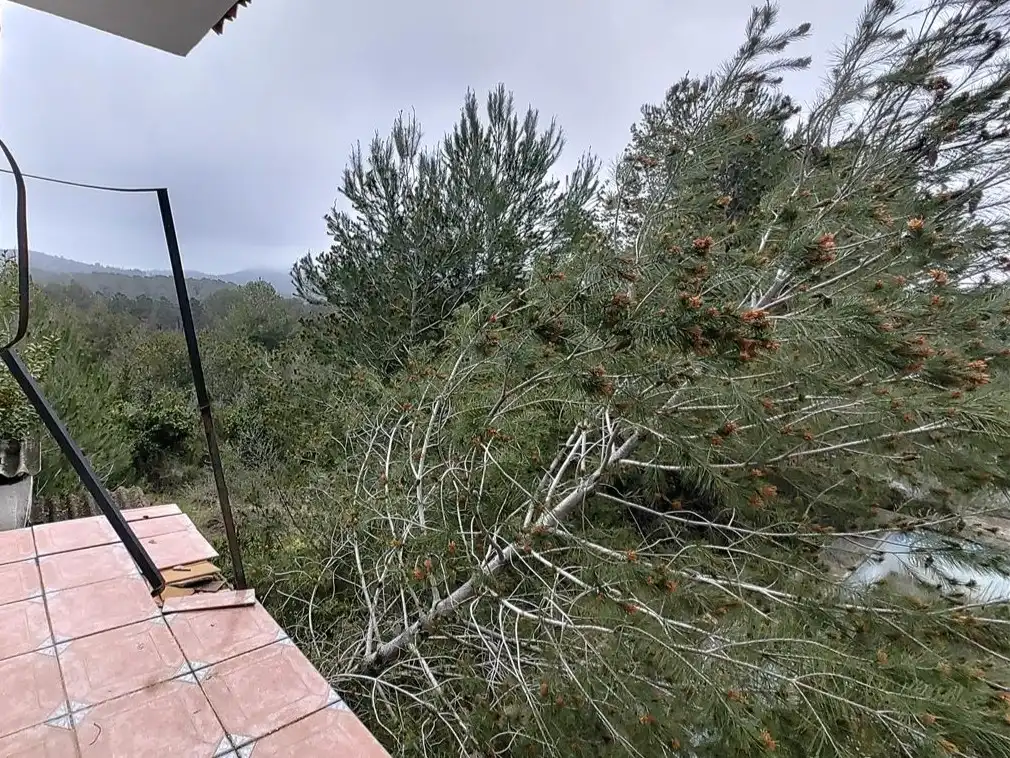 Terreny residencial en venda a Pujada De Bixquert, imagen 6