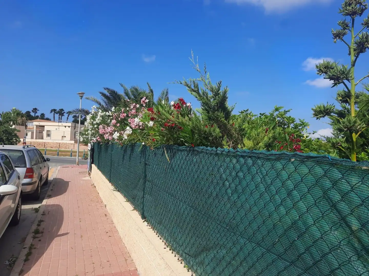 Vista exterior de Casa o xalet en venda en Torrevieja amb Aire condicionat, Jardí privat i Terrassa