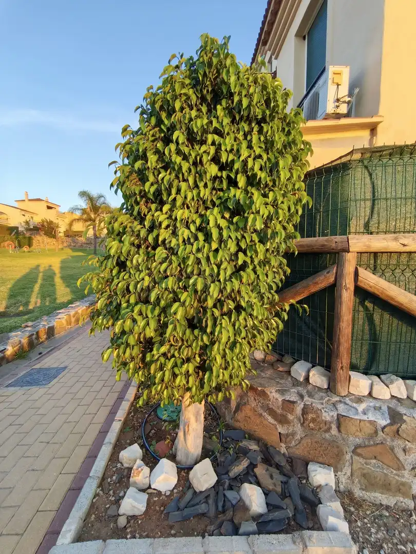 Wohnung mit Pool zum Verkauf in Costa Esuri, imagen 22