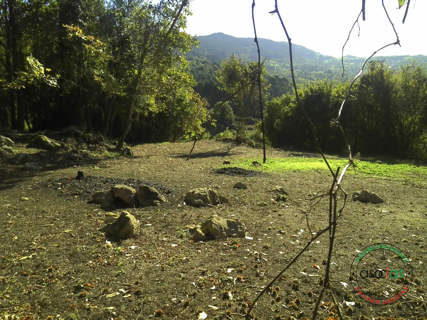 Terreno rustico in vendita a Gijón - BARRIO SAN PELAYO - CALDONES, imagen 2
