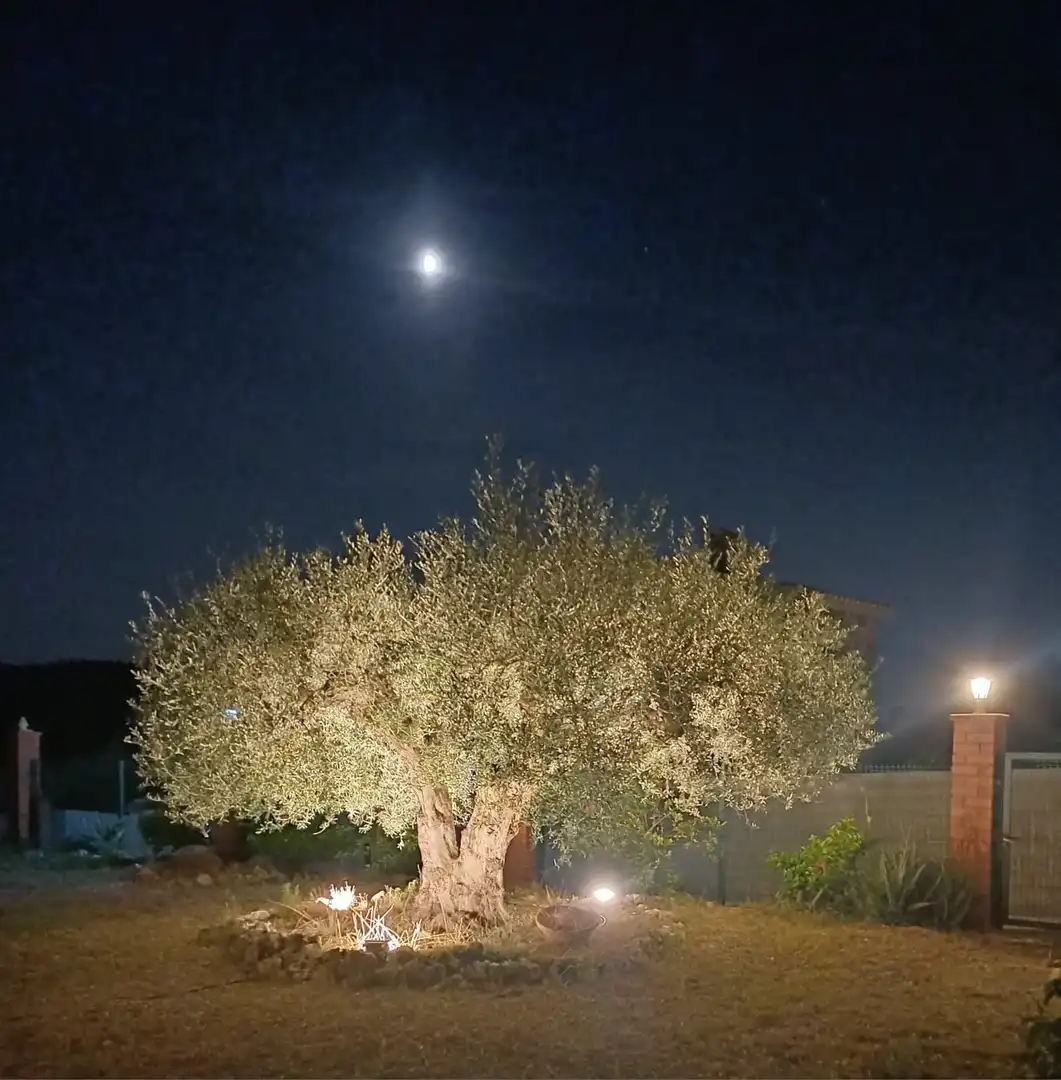 Villa avec piscine à vendre à DE LA SERRA, imagen 20