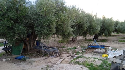 FINCA RUSTICA CON CASA PARA REFORMAR EN VENTA