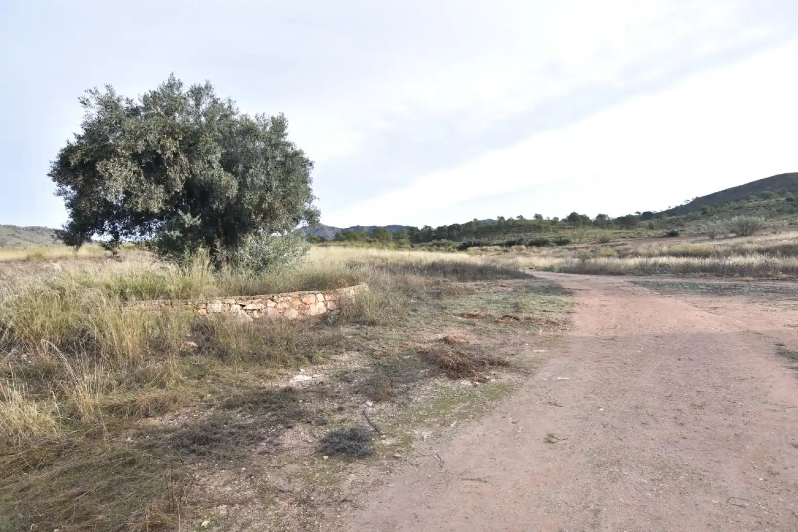 Casa o chalet en venta en Liétor - casa de la rambla Lietor, Liétor