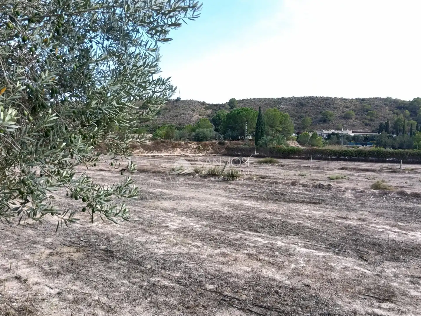 Villa avec piscine à vendre à Monforte del Cid, imagen 36