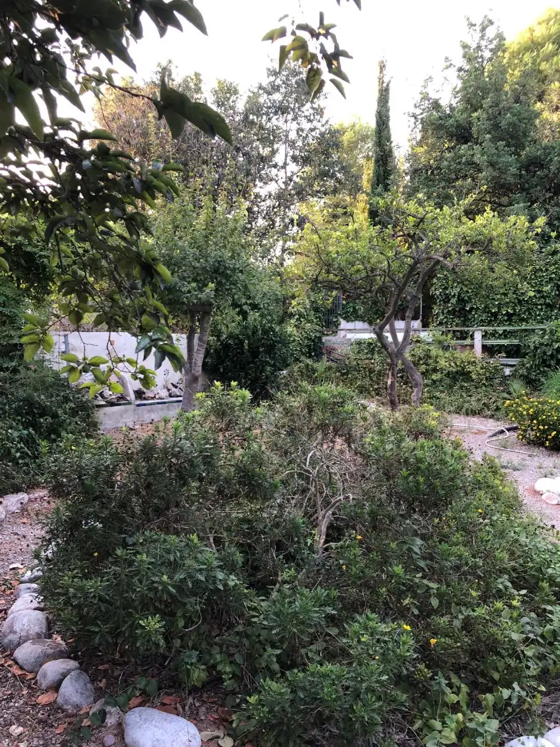Finca rústica en venda en Albalat dels Tarongers, Valencia