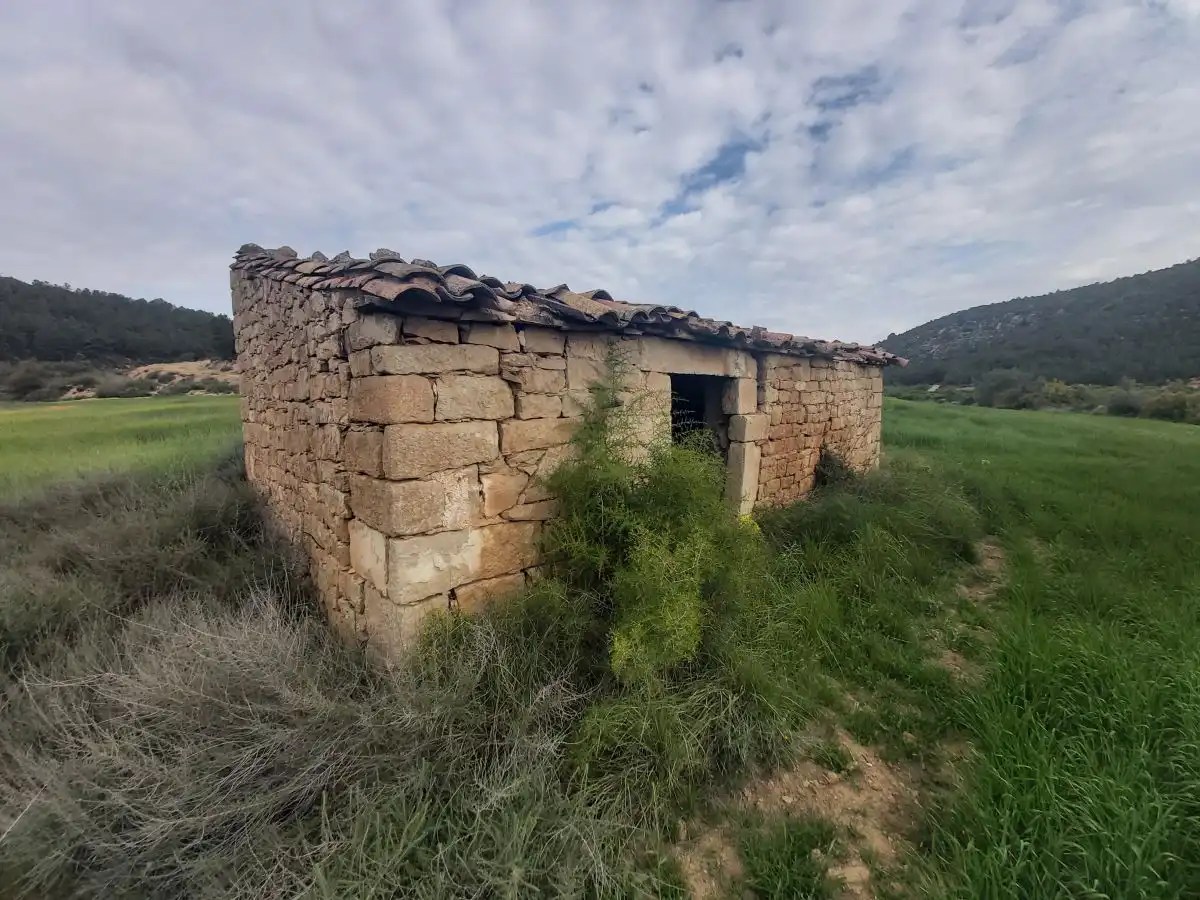 Vista exterior de Finca rústica en venta en Seròs