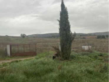 Rural land for sale in Alcolea de Calatrava