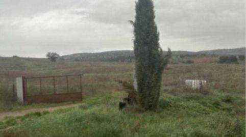 Foto 3 de Terreny en venda a Alcolea de Calatrava, Ciudad Real
