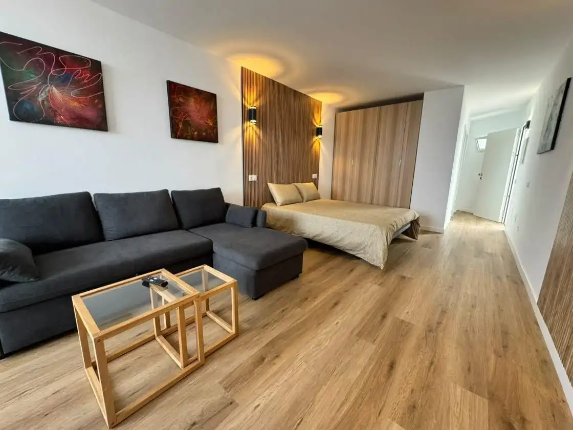Sala d'estar de Estudi de lloguer en San Agustín - Bahía Feliz