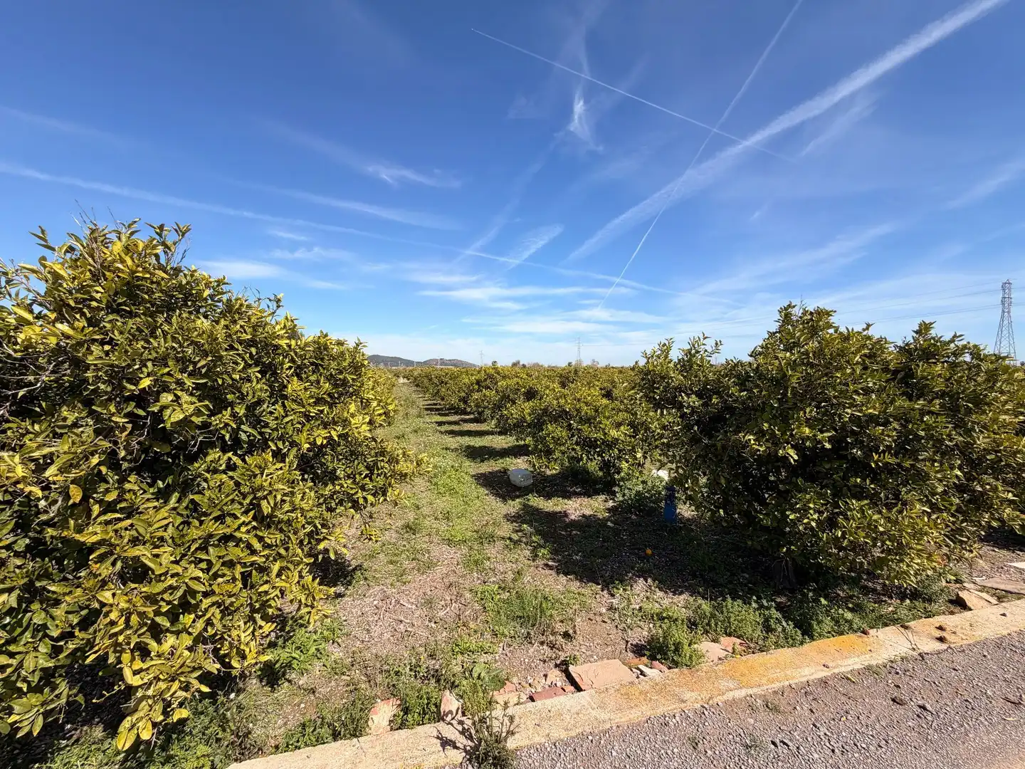 Rural land for sale in Almenara, imagen 2