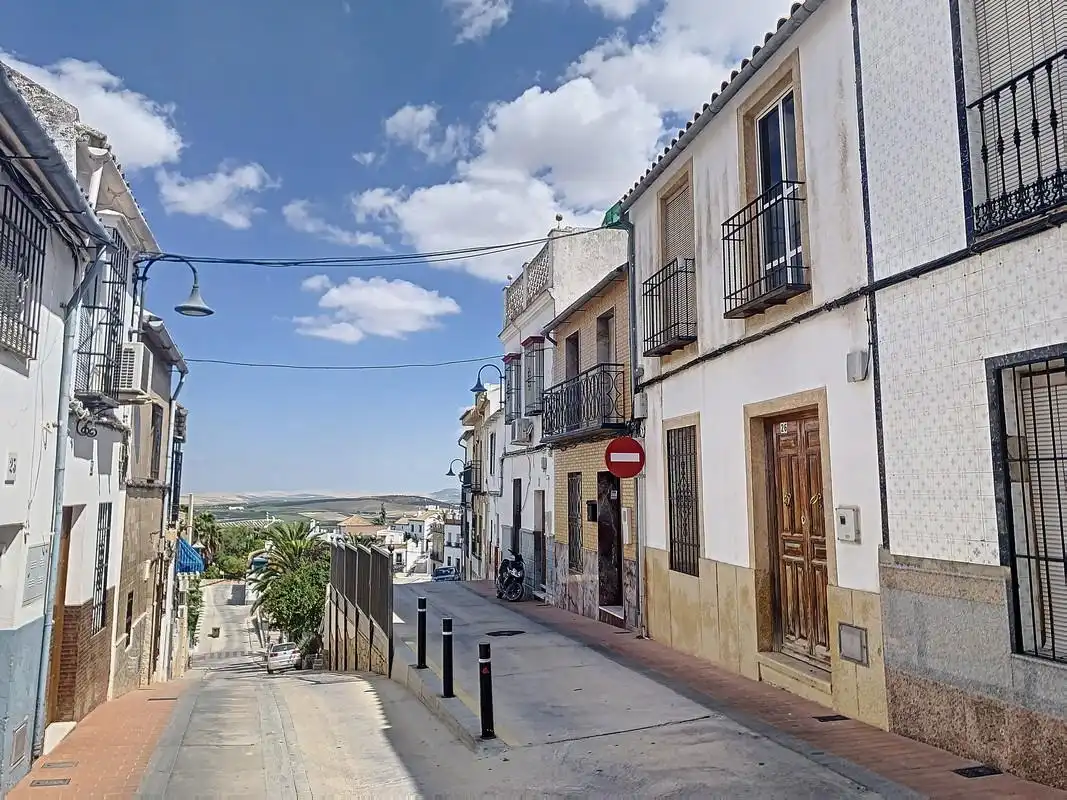 Exterior view of Houses for sale in Fernán-Núñez