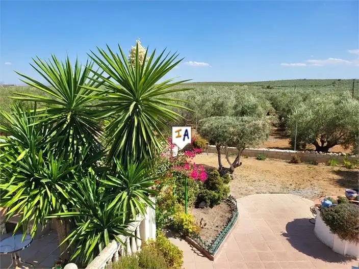 Casa con piscina en venta en Puente Genil, imagen 7