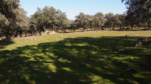 Foto 3 de Finca rústica en venda a Santa Olalla del Cala, Huelva