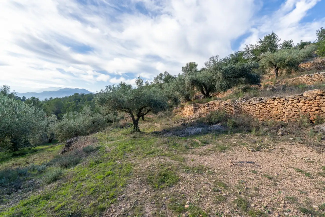 Terrain rustique à vendre à Tivenys, imagen 10