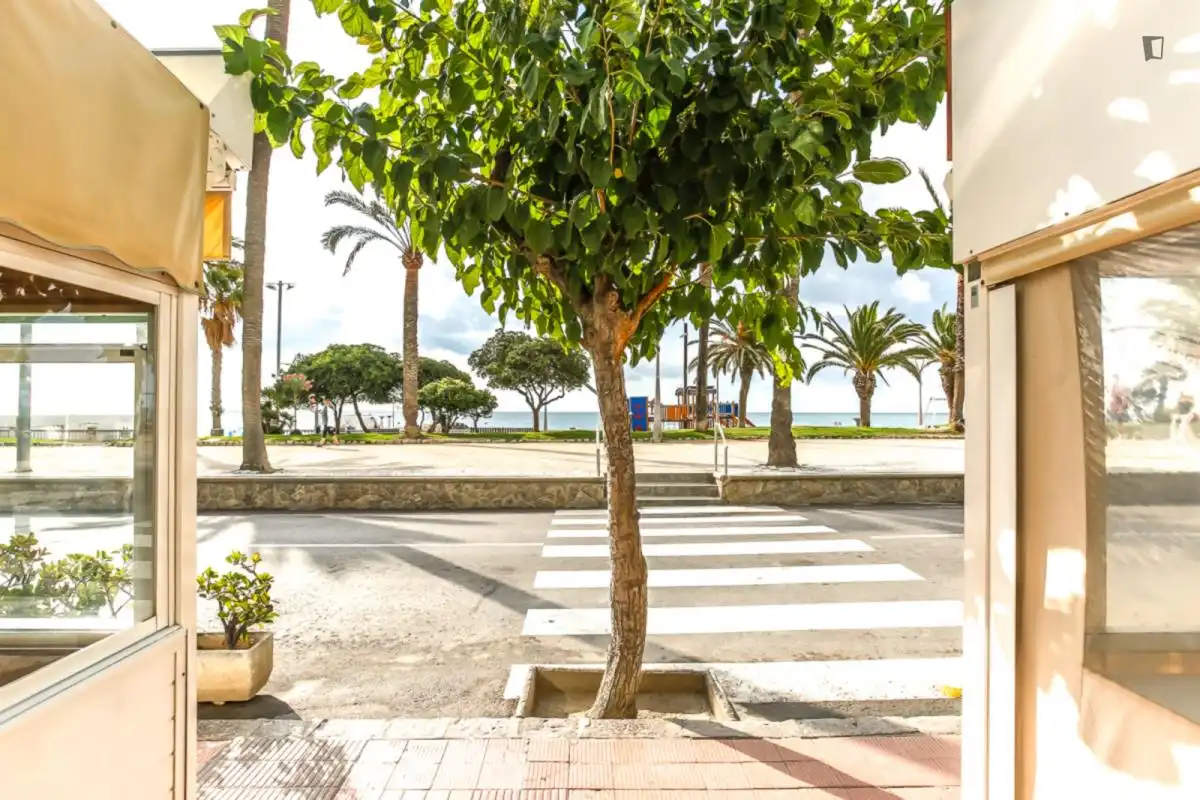 Apartament de lloguer a Centre