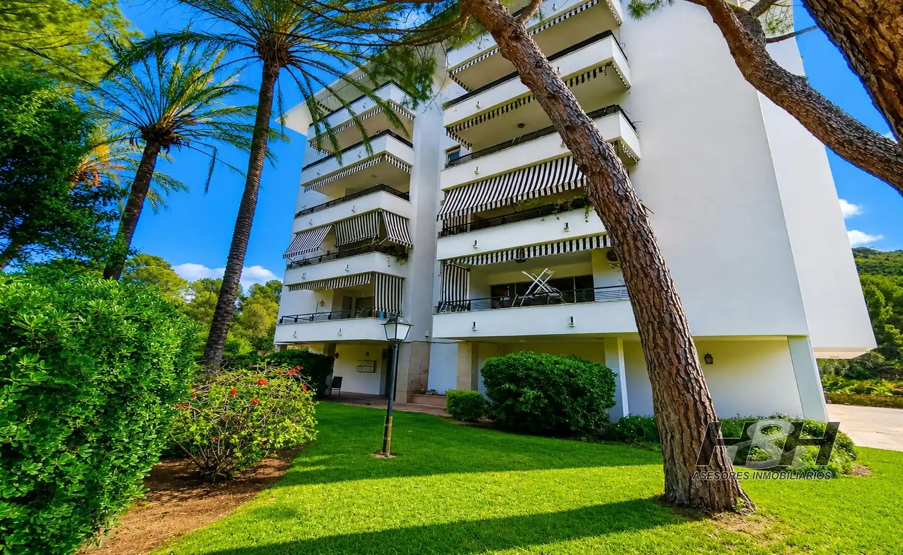 Vista exterior de Piso en venta en Náquera con Jardín privado, Terraza y Balcón