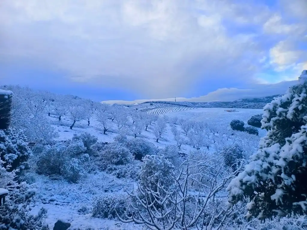 Vista exterior de Casa o chalet en venta en Alhama de Granada