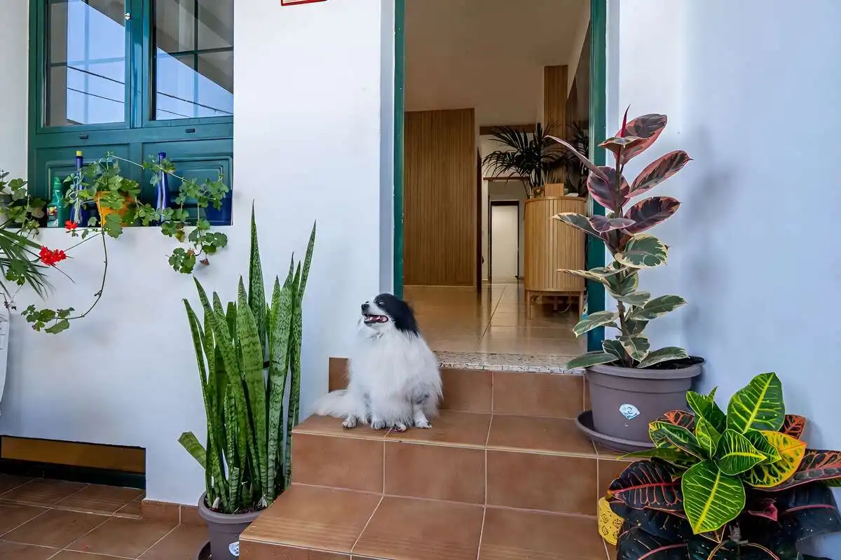 Duplexes for sale in Yaiza  with Air Conditioner, Terrace and Storage room