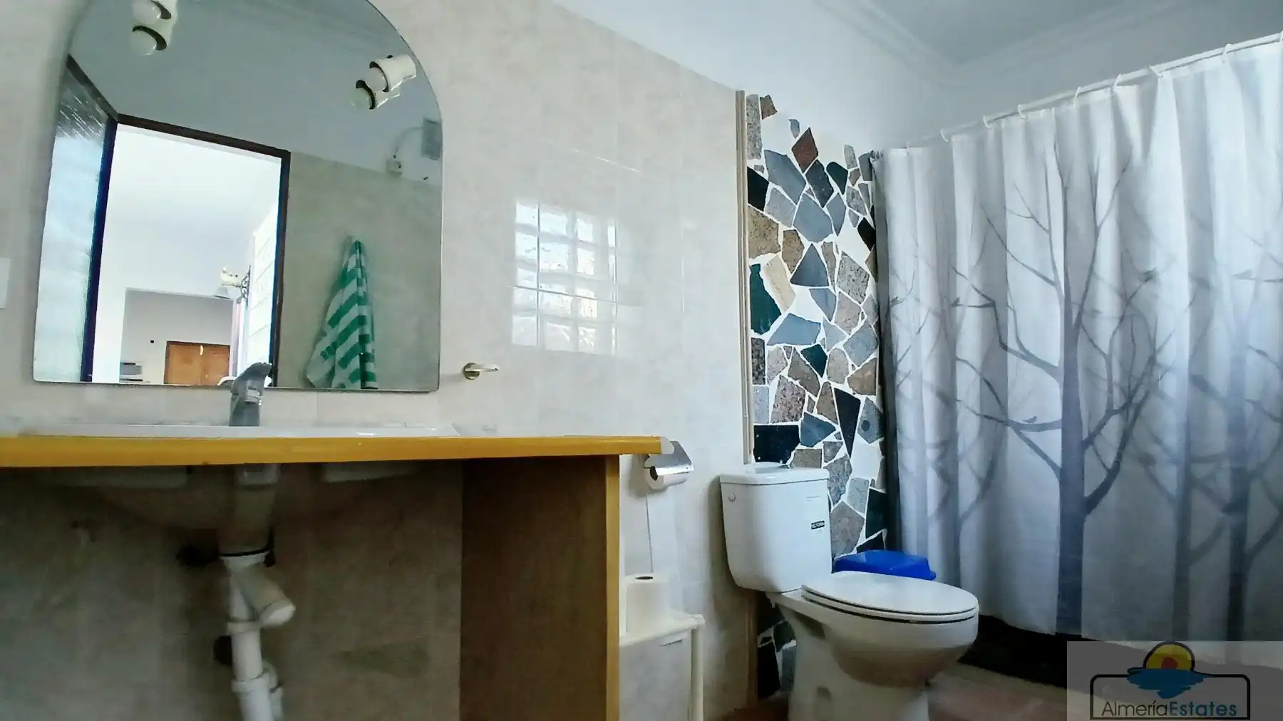 Bathroom of Houses for rent in Albox  with Storage room