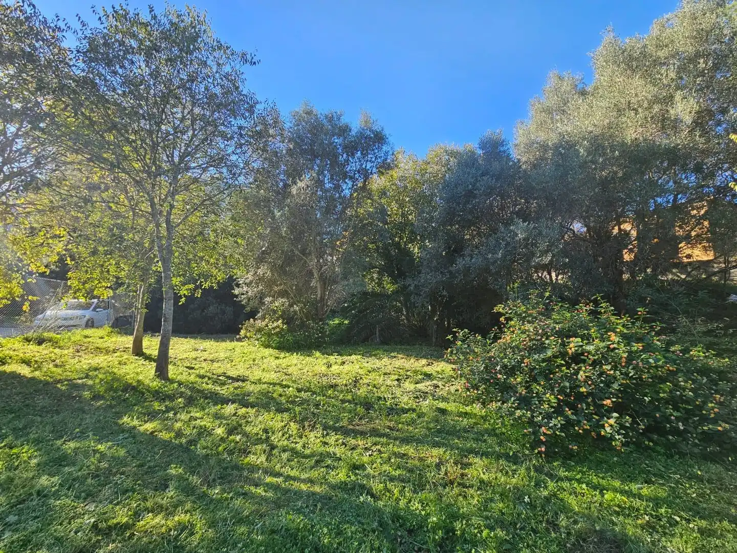 Terreny residencial en venda a El Montgó, imagen 3